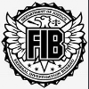 F45050 fib logo